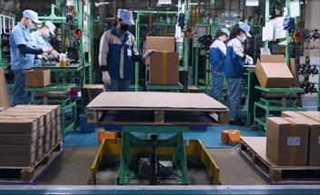 Video bàn xoay và bàn nâng Palet